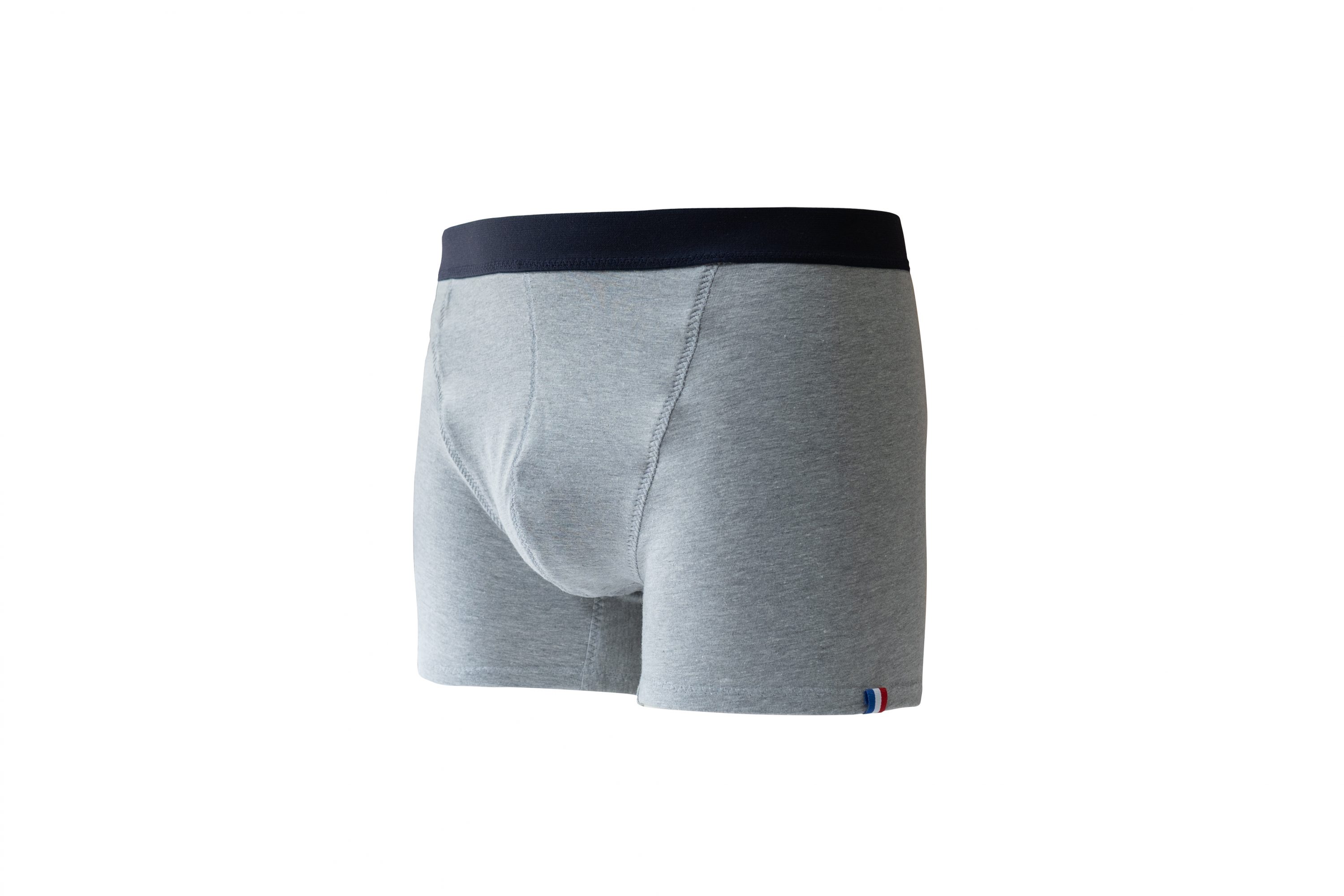 boxer gris chiné